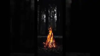 black wallpaper 🖤|black wallpaper photo|black wallpaper dp|black wallpaper status|#wallpaper#shorts