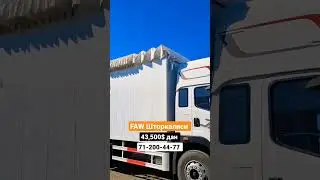 FAW Шторкали фургон 2х спальня