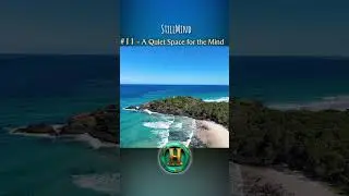 A Quiet Space for the Mind &middot; 11