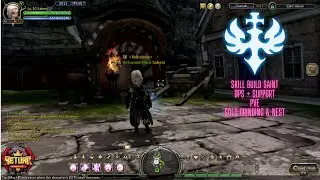 SKILL BUILD SAINT LVL 50 PVE !! DPS + SUPPORT - DN RETURN