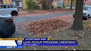 City of Chico's annual leaf collection program underway