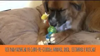 Corda com Gomos