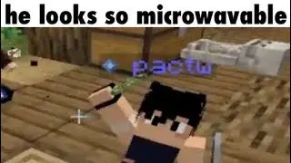 QSMP TikToks #21