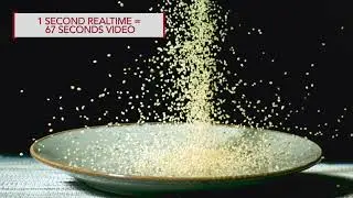 Phantom VEO640S Slow Motion Cous Cous - Panny Hire