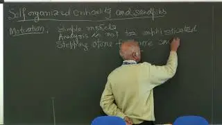 Self-organized Criticality - 1