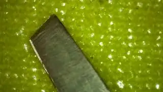 Заточка пинцета tweezers sharpening