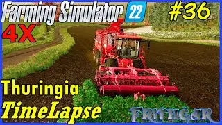 FS22 Timelapse, Тюрингия 4x #36: Подготовка тополя!
