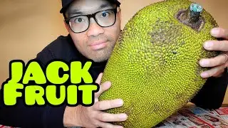JACKFRUIT What is a Jackfruit? How to Eat a Jackfruit. How to cut a Jackfruit for the first time.