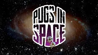 Pugs in Space Launches