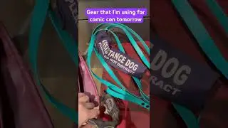 Assistance dog gear #dog #assistancedog #medicalequipment #doggear #husky #youtubeshorts #shorts
