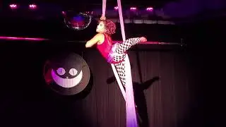 Kinky Circus Aerial Performance