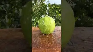 Masala Guava Recipe | Perfect Spicy & Tangy Treat 🌶✨