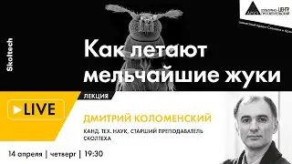 Лекция Дмитрия Коломенского 