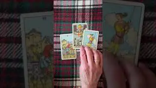 You're Different Now #Tarottiny #tarotreading #dailytarot #tarotcards  #tinytarot #tarottoday #tarot