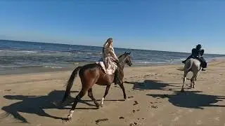 Horseback riding in the atmosphere of the Middle Ages.