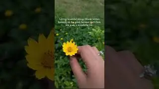 Positive quotes/Positive thoughts/Motivational video/Inspirational quotes/Best motivational videos