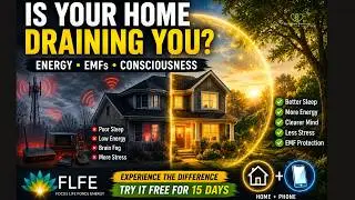 Change the Field, Change Your Life: EMF Mitigation & Life in an FLFE Bubble | CatherineEdwards.life