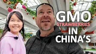 We Found GMO White Strawberries in China 🍓 | Family Farm Adventure!