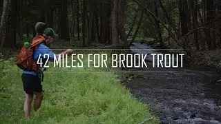 42 Miles for Brook Trout | Backpacking and Fly Fishing the PA Back Country