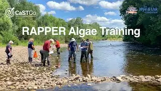 RAPPER Algae  CitSci Day