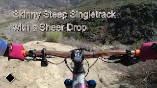 Skinny Single track with a Sheer Drop -  WTF! #shorts #mtbshorts