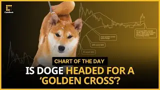 Dogecoin Appears on Track for a 'Golden Cross' | Chart of the Day
