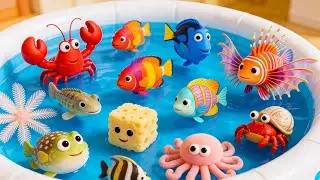 200 Amazing Sea Animals from A to Z | Fun and Educational Sea Animal Facts | ABC Sea Animals