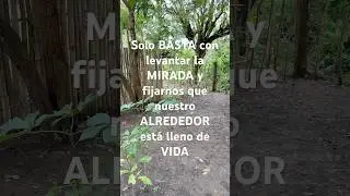 Para AGRADECER #f&eacute; #nature #naturelovers #campo #vida #life #love #free #shortsviral #shorts #short