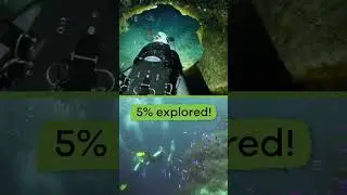 Ocean Facts for Kids | #shorts