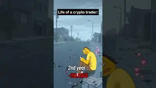 Life of a crypto trader pt.2 #memecoin #crypto #meme #btc #solana #trading #business #money #binance