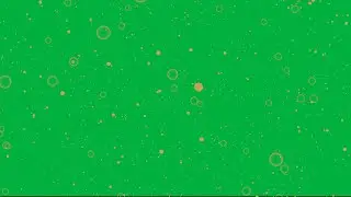 Gold White Particles Green Screen Chroma Key Animation