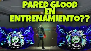 NUEVO 
