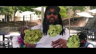 Kevlar P.I. - Run It Up (Official Music Video)