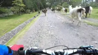 Trails en Parque Metropolitano - Quito