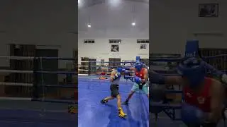#boxing #boxingfederationofindia #india #sports