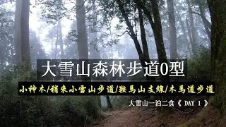 大雪山森林步道O型 #小神木步道 #稍來小雪山步道 #鞍馬山支線步道 #木馬道《大雪山一泊二食 DAY1》
