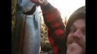 Alaskan Wood Shampoo