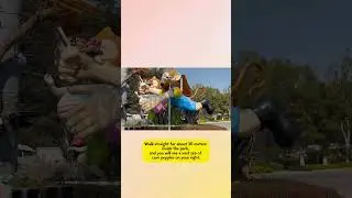 Horticultural Expo Garden - Flower Admiring Guide