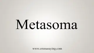 How To Say Metasoma