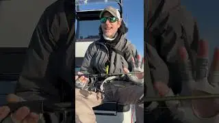 The Wait Is Finally Over: FTU Excel Gen2 Green Spinning Rods