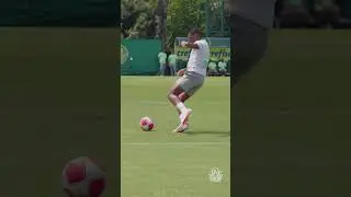 MARCADOR E ARTILHEIRO, &Eacute; O AN&Iacute;BAL MORENO!