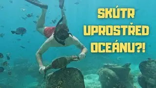 Tohle zažijete jen na BALI! 🤩 Kam na nejlepší potápění?