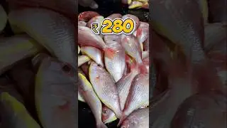 💥13.02.2026 Today Fish rate in Vanagaram Fish Market#kasimedu #seafood #vanagaram #viralshorts