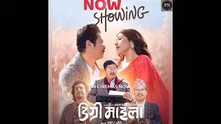 Degree Maila 5th Day Box Office Collection Report l PS Reviews #shorts #psreviews #dayahangrai