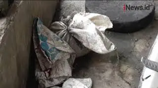 Video Viral Jagal Kucing di Medan, Komunitas Pencinta Kucing Lapor Polisi