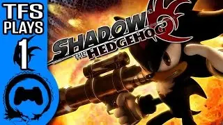 SHADOW THE HEDGEHOG Part 1 - TFS Plays