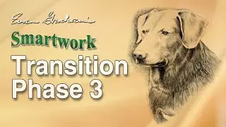 Smartwork Transition Phase 3: How to Fix Weak Basics in Advanced Dogs