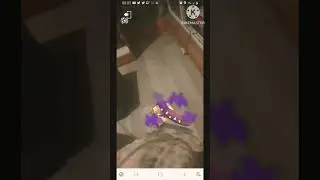 Best Buddy on My Shiny Shadow Mawile in Pokemon Go!