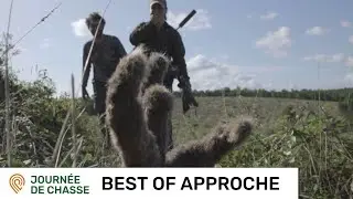 BEST OF CHASSE A L'APPROCHE - JOURNEE DE CHASSE [CACCIA - CAZZA - HUNTING]