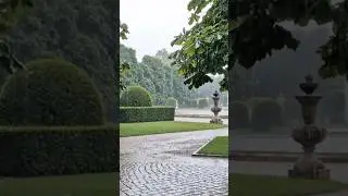 Close your eyes and enjoy the sound 💧 #nature #rain #asmr #shorts